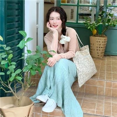 捕狼行动