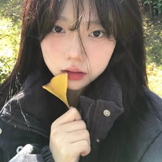薇拉与伊娃